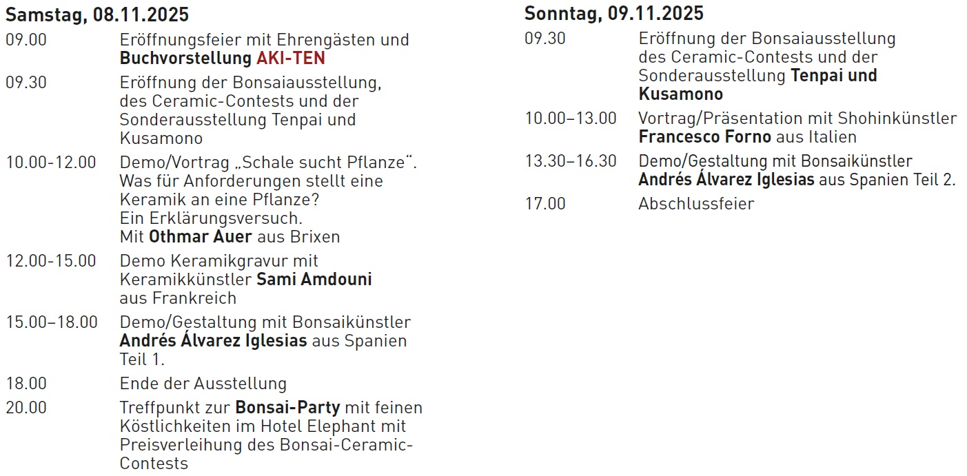 Aki Ten Programm 2025