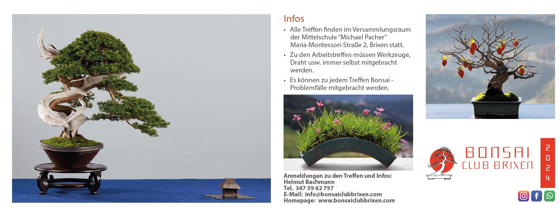 Bonsaiclub Brixen 2024