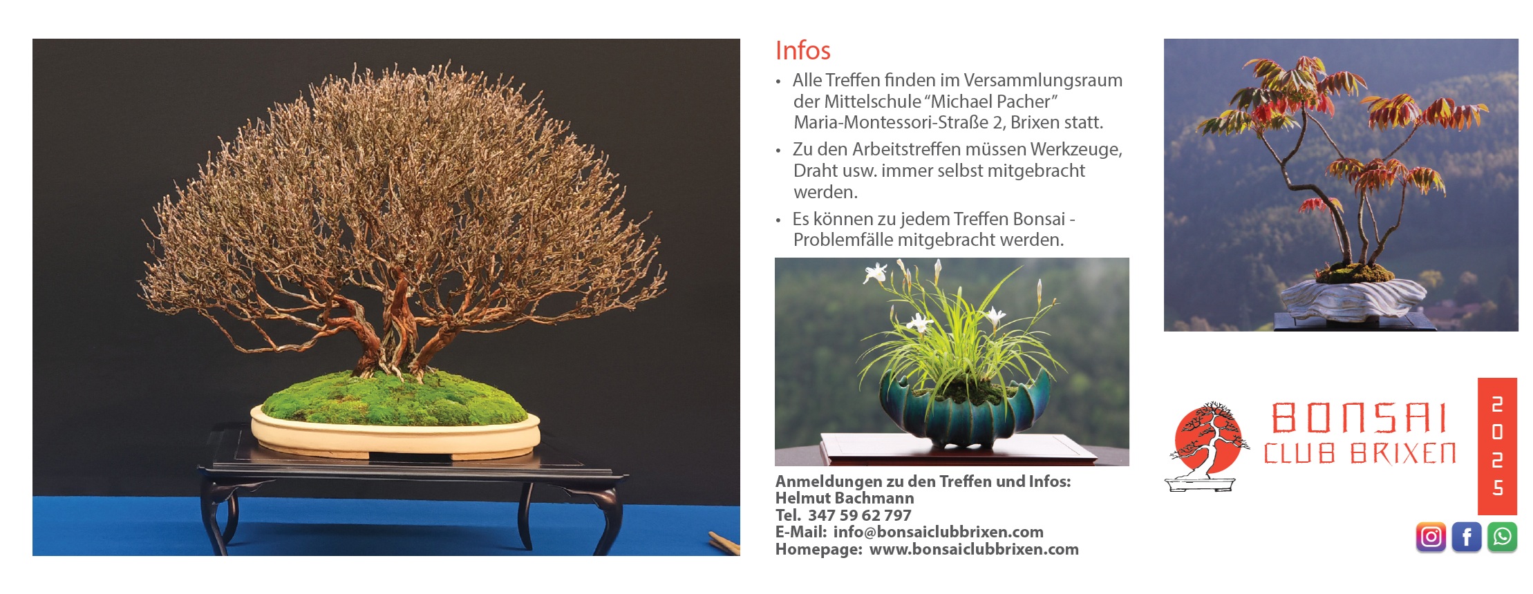 Bonsaiclub Brixen 2025